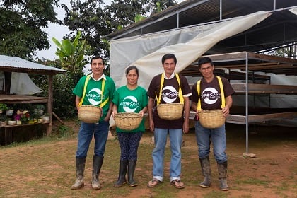 当店No.3<br>ペルー アルパカ JASオーガニック