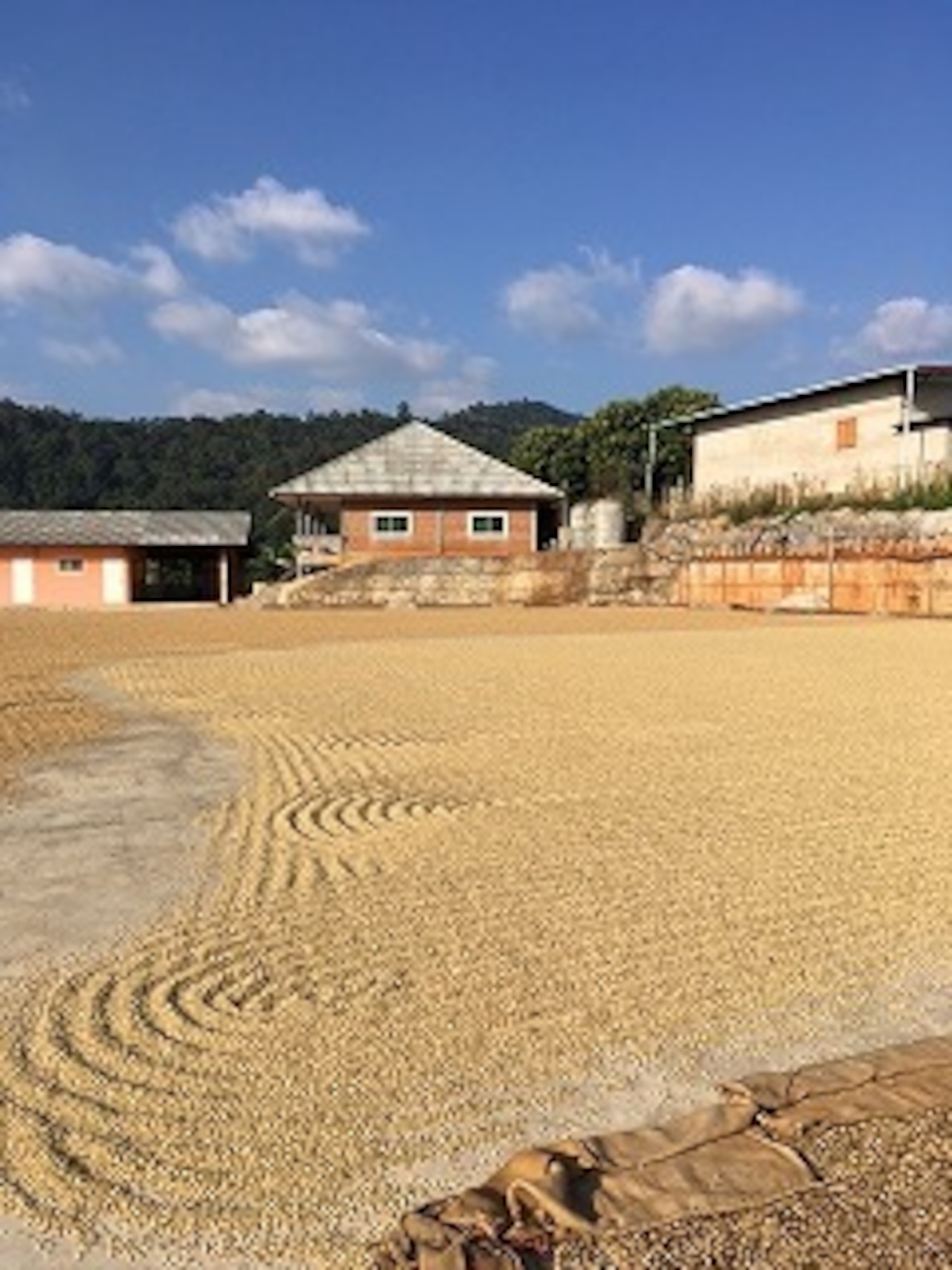 タイ サイアム ブルームーン